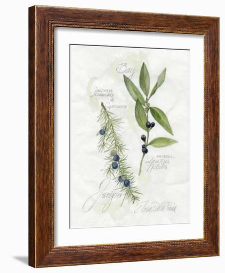 Bay Leaf and Juniper-Elissa Della-piana-Framed Art Print