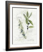 Bay Leaf and Juniper-Elissa Della-piana-Framed Art Print