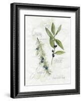 Bay Leaf and Juniper-Elissa Della-piana-Framed Art Print