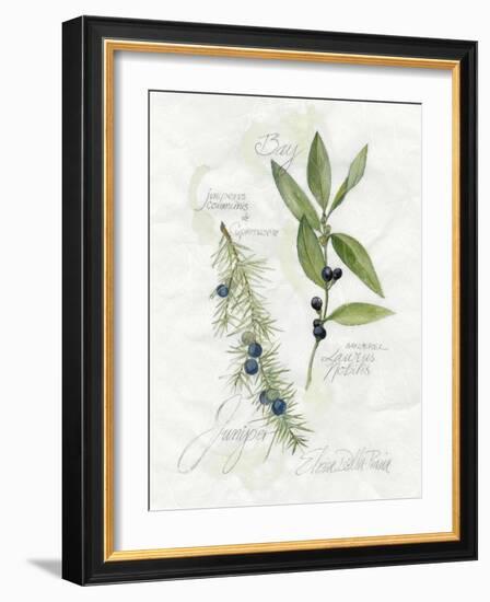 Bay Leaf and Juniper-Elissa Della-piana-Framed Art Print