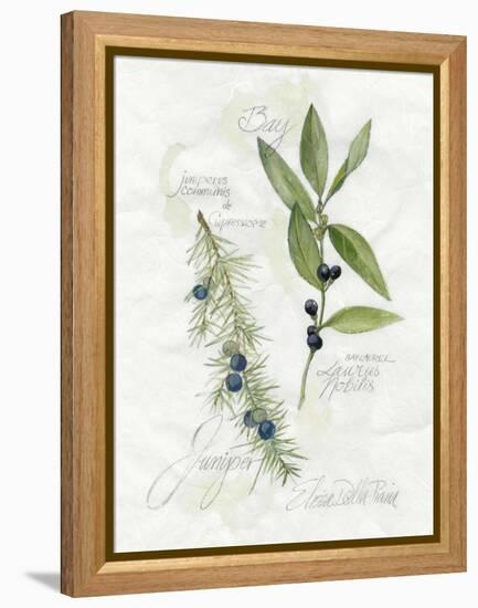 Bay Leaf and Juniper-Elissa Della-piana-Framed Stretched Canvas