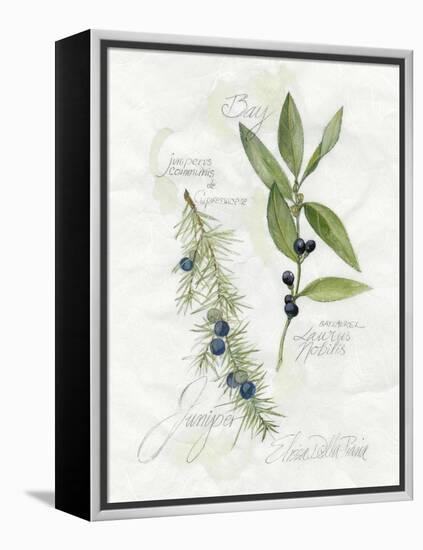 Bay Leaf and Juniper-Elissa Della-piana-Framed Stretched Canvas