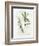 Bay Leaf and Juniper-Elissa Della-piana-Framed Premium Giclee Print