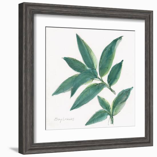 Bay Leaf-Chris Paschke-Framed Art Print