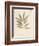 Bay Leaves-Amy Melious-Framed Art Print