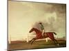 Bay Malton with John Singleton Up, circa 1767-George Stubbs-Mounted Giclee Print