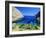 Bay Near Puerto Pollensa, Mallorca (Majorca), Balearic Islands, Spain, Europe-John Miller-Framed Photographic Print