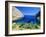 Bay Near Puerto Pollensa, Mallorca (Majorca), Balearic Islands, Spain, Europe-John Miller-Framed Photographic Print