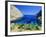 Bay Near Puerto Pollensa, Mallorca (Majorca), Balearic Islands, Spain, Europe-John Miller-Framed Photographic Print