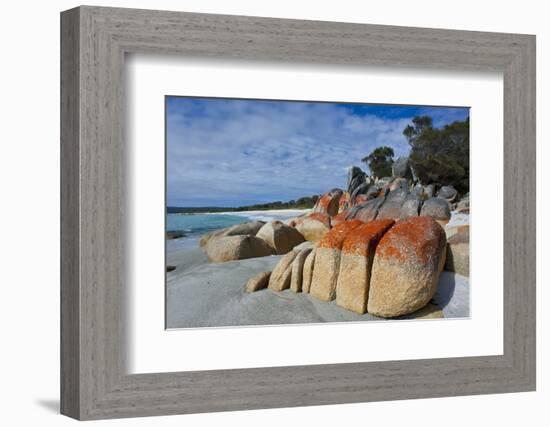 Bay of Fire, Voted One of the Most Beautiful Beaches in the World, Tasmania, Australia, Pacific-Michael Runkel-Framed Photographic Print