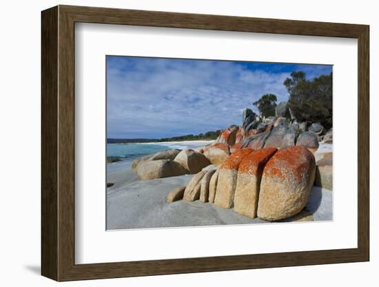 Bay of Fire, Voted One of the Most Beautiful Beaches in the World, Tasmania, Australia, Pacific-Michael Runkel-Framed Photographic Print