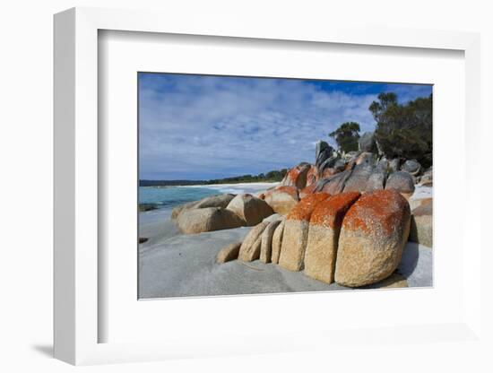 Bay of Fire, Voted One of the Most Beautiful Beaches in the World, Tasmania, Australia, Pacific-Michael Runkel-Framed Photographic Print