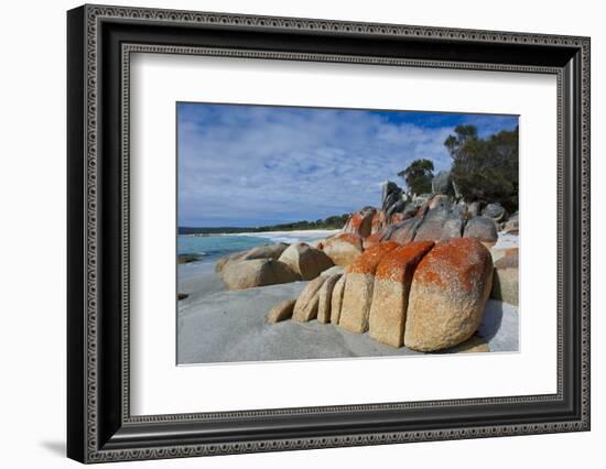 Bay of Fire, Voted One of the Most Beautiful Beaches in the World, Tasmania, Australia, Pacific-Michael Runkel-Framed Photographic Print