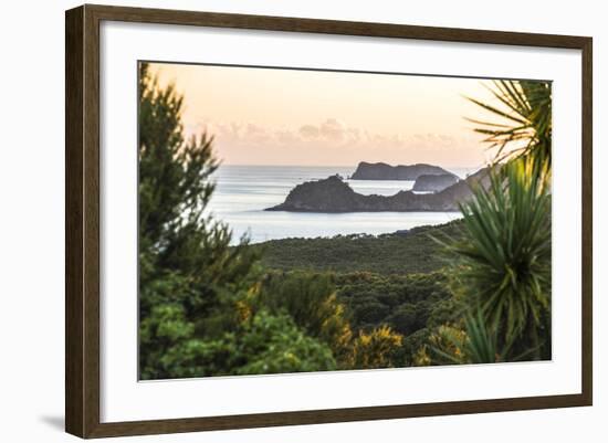 Bay of Islands Coastline at Sunrise, Seen from Russell, Northland Region, North Island, New Zealand-Matthew Williams-Ellis-Framed Photographic Print