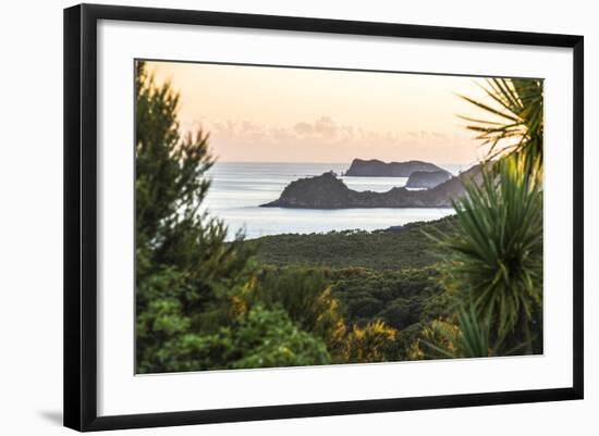 Bay of Islands Coastline at Sunrise, Seen from Russell, Northland Region, North Island, New Zealand-Matthew Williams-Ellis-Framed Photographic Print