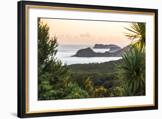 Bay of Islands Coastline at Sunrise, Seen from Russell, Northland Region, North Island, New Zealand-Matthew Williams-Ellis-Framed Photographic Print