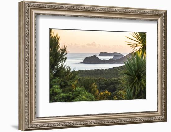 Bay of Islands Coastline at Sunrise, Seen from Russell, Northland Region, North Island, New Zealand-Matthew Williams-Ellis-Framed Photographic Print