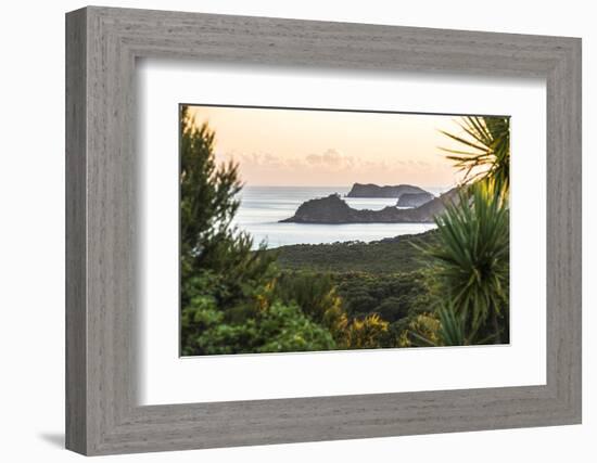 Bay of Islands Coastline at Sunrise, Seen from Russell, Northland Region, North Island, New Zealand-Matthew Williams-Ellis-Framed Photographic Print