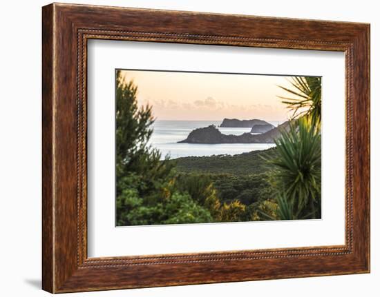 Bay of Islands Coastline at Sunrise, Seen from Russell, Northland Region, North Island, New Zealand-Matthew Williams-Ellis-Framed Photographic Print