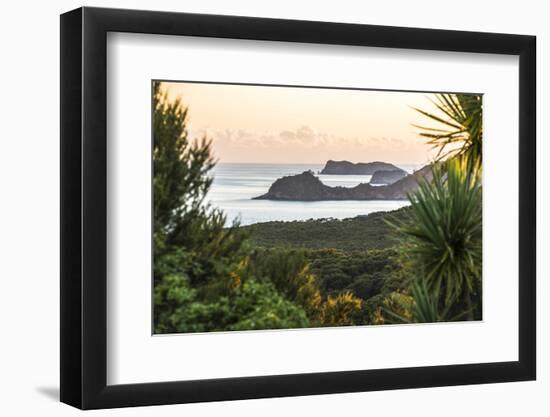 Bay of Islands Coastline at Sunrise, Seen from Russell, Northland Region, North Island, New Zealand-Matthew Williams-Ellis-Framed Photographic Print