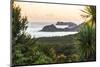 Bay of Islands Coastline at Sunrise, Seen from Russell, Northland Region, North Island, New Zealand-Matthew Williams-Ellis-Mounted Photographic Print