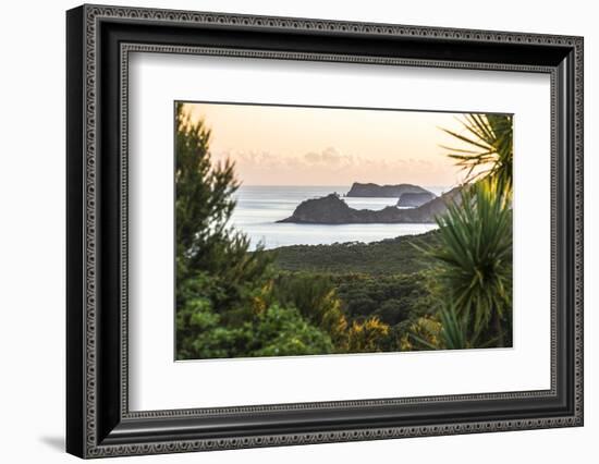 Bay of Islands Coastline at Sunrise, Seen from Russell, Northland Region, North Island, New Zealand-Matthew Williams-Ellis-Framed Photographic Print