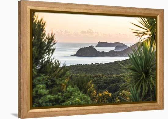 Bay of Islands Coastline at Sunrise, Seen from Russell, Northland Region, North Island, New Zealand-Matthew Williams-Ellis-Framed Premier Image Canvas