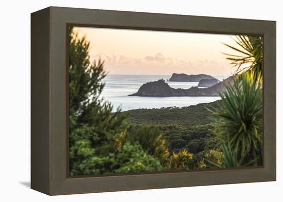 Bay of Islands Coastline at Sunrise, Seen from Russell, Northland Region, North Island, New Zealand-Matthew Williams-Ellis-Framed Premier Image Canvas