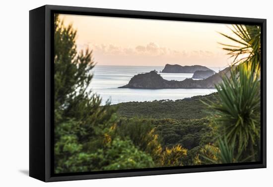 Bay of Islands Coastline at Sunrise, Seen from Russell, Northland Region, North Island, New Zealand-Matthew Williams-Ellis-Framed Premier Image Canvas