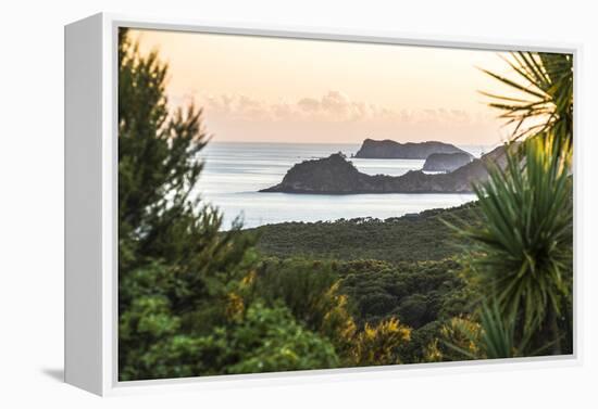 Bay of Islands Coastline at Sunrise, Seen from Russell, Northland Region, North Island, New Zealand-Matthew Williams-Ellis-Framed Premier Image Canvas