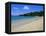 Bay of Islands, Northland, North Island, New Zealand, Pacific-Neale Clarke-Framed Premier Image Canvas