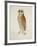 Bay Owl, 1824-J. Briois-Framed Art Print