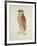 Bay Owl, 1824-J. Briois-Framed Art Print