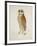 Bay Owl, 1824-J. Briois-Framed Art Print