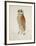 Bay Owl, 1824-J. Briois-Framed Art Print