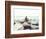 Bay Rocks III-Sonja Quintero-Framed Photographic Print