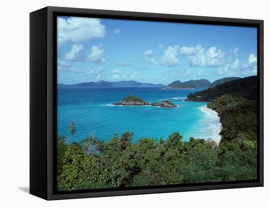 Bay, St. John, US Virgin Islands-Barry Winiker-Framed Premier Image Canvas