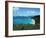 Bay, St. John, US Virgin Islands-Barry Winiker-Framed Photographic Print