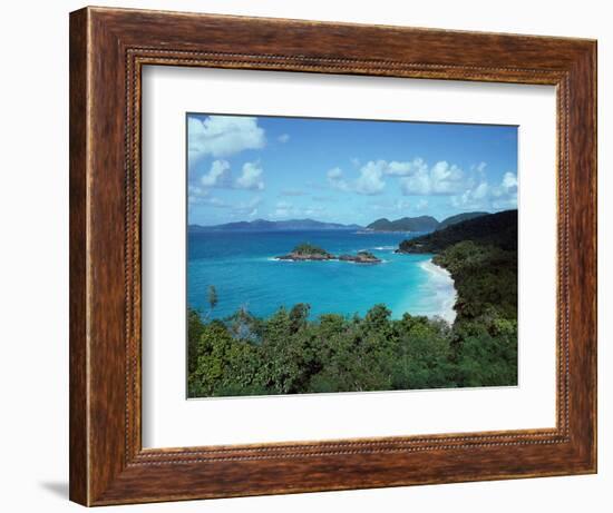 Bay, St. John, US Virgin Islands-Barry Winiker-Framed Photographic Print