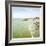 Bay View II-Alicia Ludwig-Framed Photographic Print