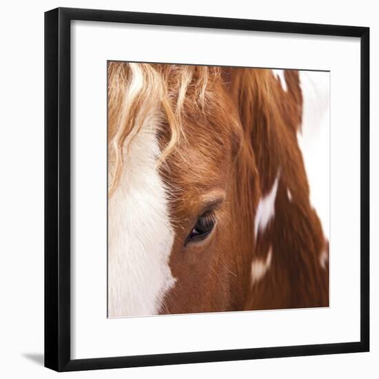 Bay-Ray Hartl-Framed Giclee Print