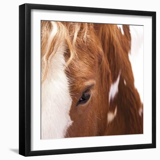 Bay-Ray Hartl-Framed Giclee Print