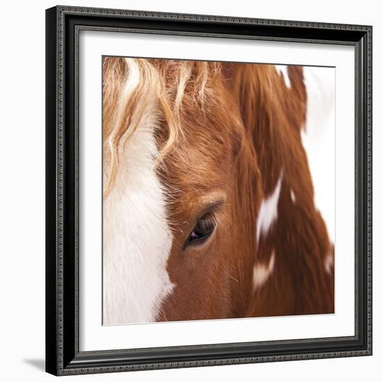 Bay-Ray Hartl-Framed Giclee Print