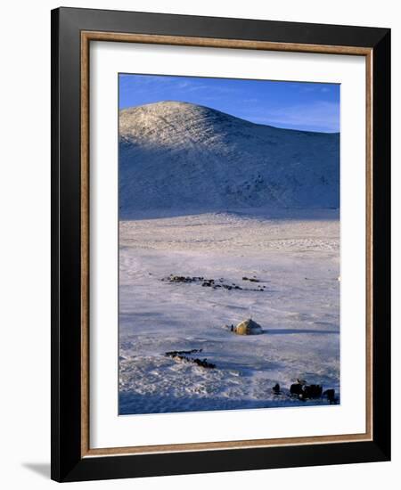 Bayan-Olgii Province, Yurts in Winter, Mongolia-Paul Harris-Framed Photographic Print