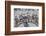 Bayeux Tapestry, Bayeux, Normandy, France-Walter Bibikow-Framed Photographic Print