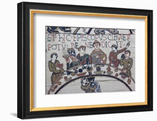 Bayeux Tapestry, Bayeux, Normandy, France-Walter Bibikow-Framed Photographic Print