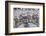 Bayeux Tapestry, Bayeux, Normandy, France-Walter Bibikow-Framed Photographic Print