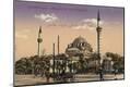 Photographic Print