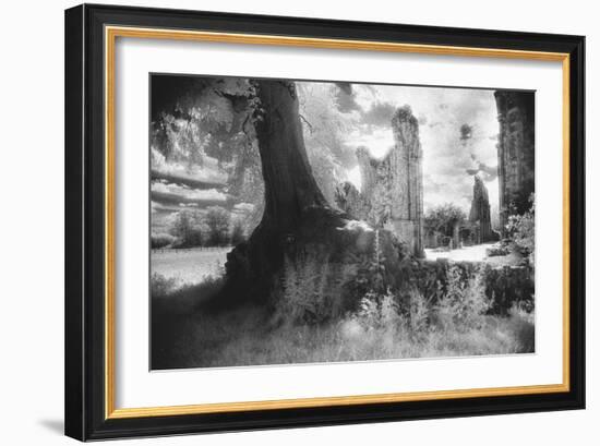 Bayham Old Abbey, Kent, England-Simon Marsden-Framed Giclee Print