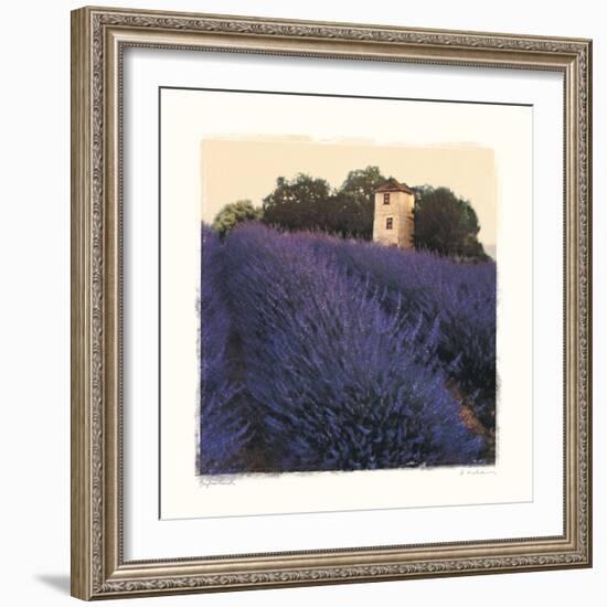 Bayliss Ranch-Amy Melious-Framed Art Print